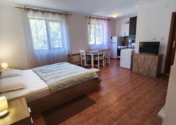 The Old Appartement Bansko